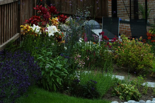 Liljene er samlet opp mot gjerdet slik at de er litt beskyttet for vind.