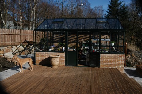 Halima er ofte i nærheten når vi holder på i drivhuset.