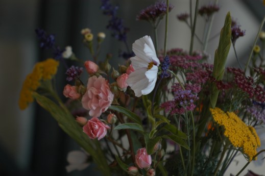 Ryllik i flere farger, salvie, buskrose, gladioler med flere.