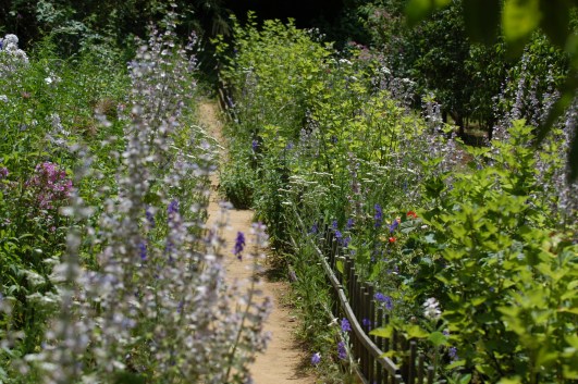 Koselig cottage garden del.