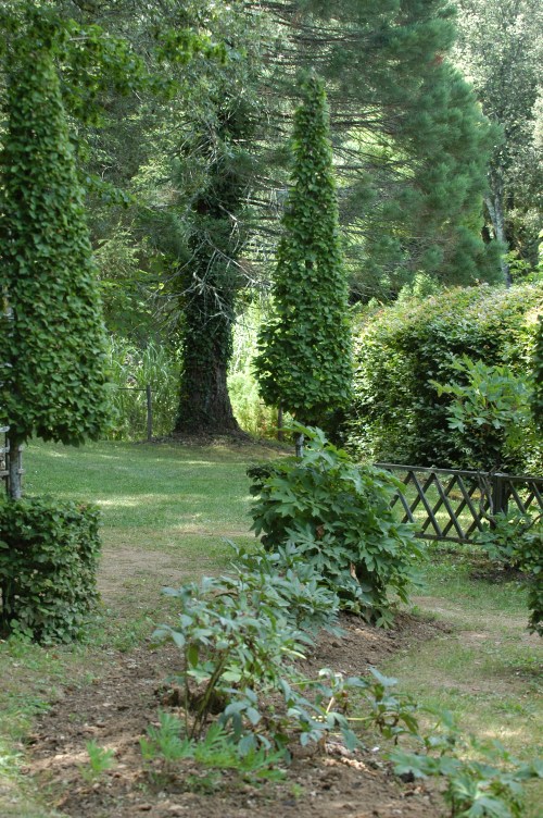 Jeg er alltid begeistret for variasjon av form og størrelse.