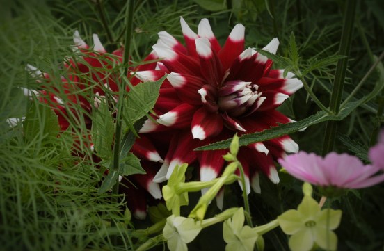 Her er det også litt trangt.