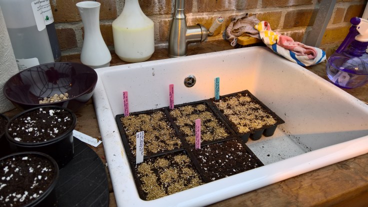 WP_20160402_12_53_57_Pro_LI