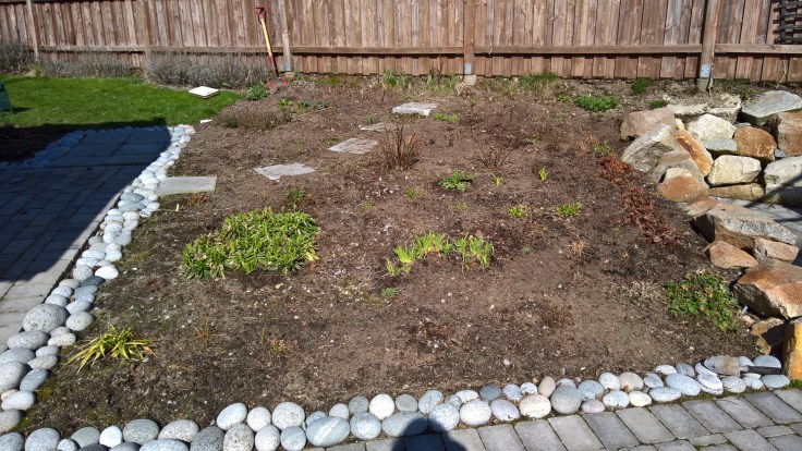 WP_20160409_12_10_55_Rich