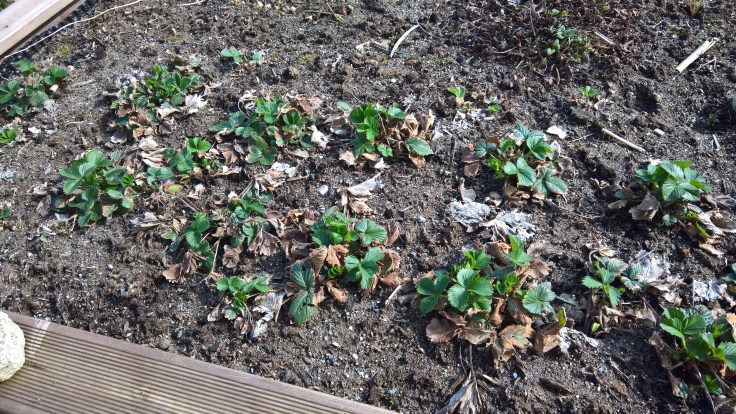 WP_20160410_15_15_17_Rich