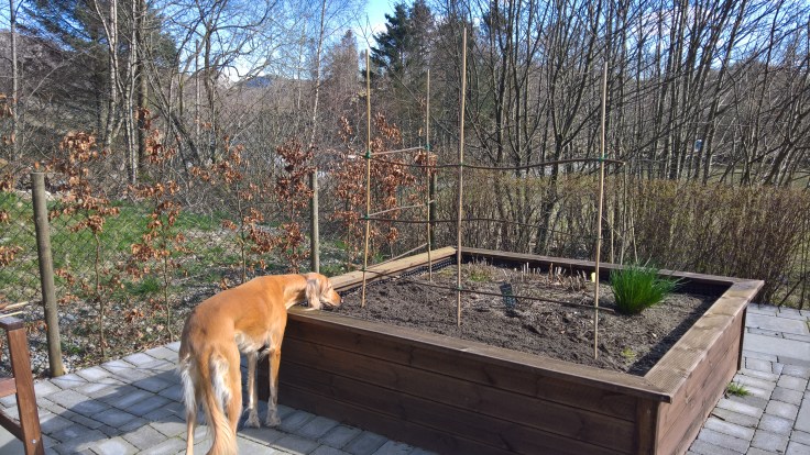 WP_20160410_15_15_41_Rich