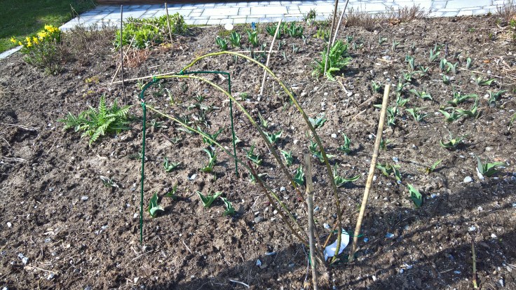 WP_20160410_15_16_00_Rich