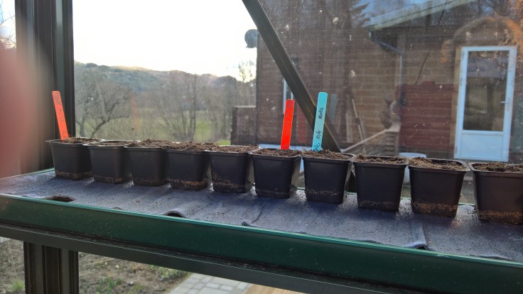 WP_20160410_16_19_49_Rich