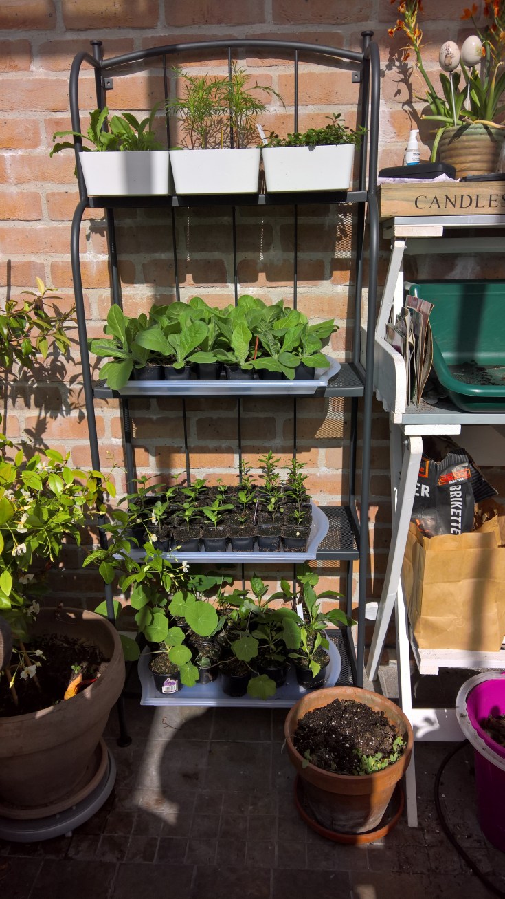 WP_20160422_16_11_05_Rich