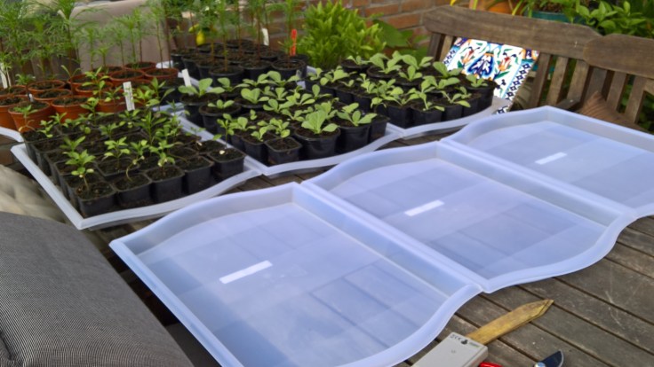 WP_20160422_16_15_17_Rich (2)