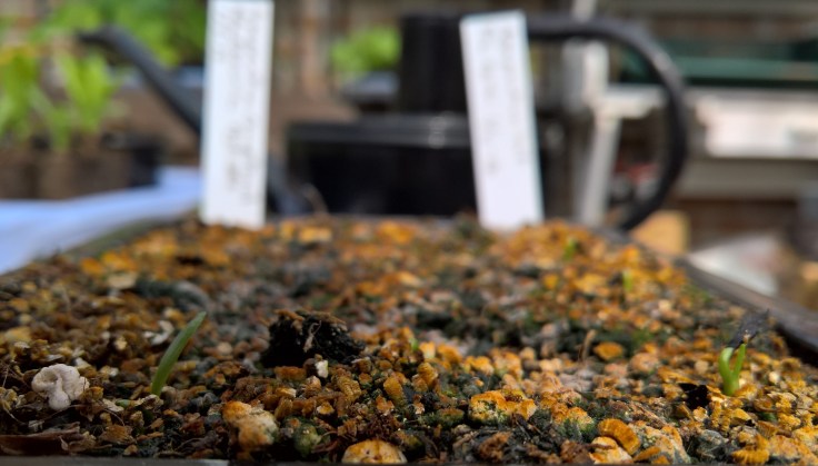 WP_20160428_15_11_42_Rich (2)