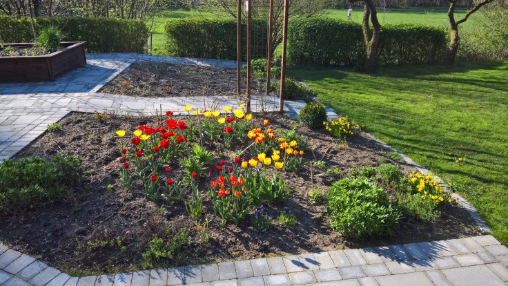 WP_20160508_08_50_52_Rich 1