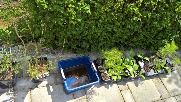 WP_20160508_15_02_40_Rich