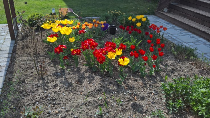 WP_20160511_16_00_25_Rich