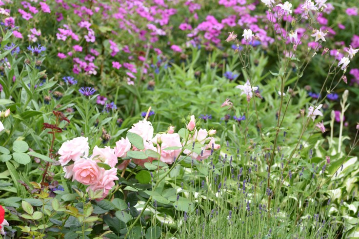 hagen i juni 2018 322